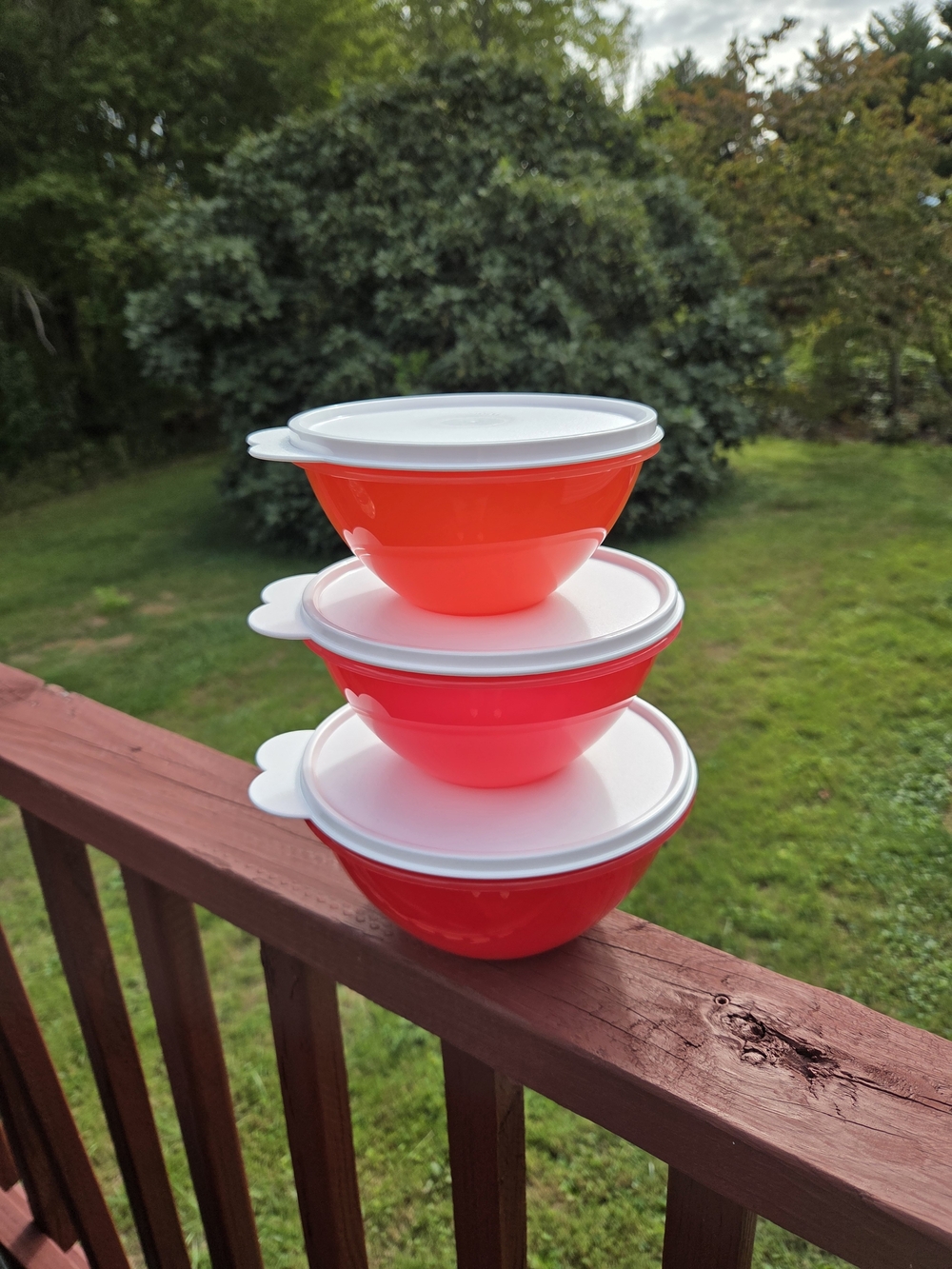 Red Small Tupperware Plastic Mixing Bowl Set with Lids - Home Kitchen